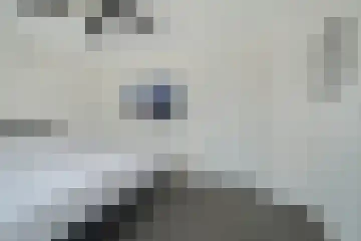 Alphenseweg 50 Gilze thumbnail 27