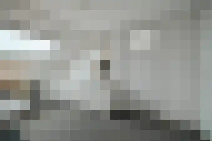 Alphenseweg 50 Gilze thumbnail 37