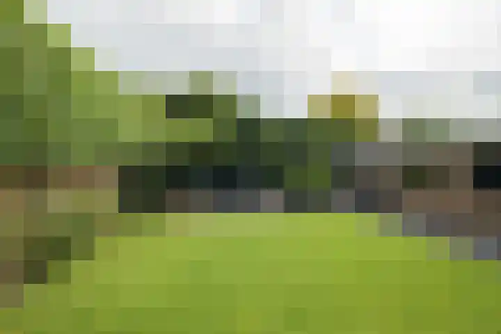 Alphenseweg 50 Gilze thumbnail 39