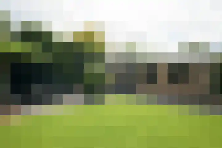 Alphenseweg 50 Gilze thumbnail 41