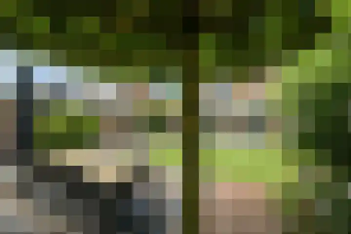 Alphenseweg 50 Gilze thumbnail 42