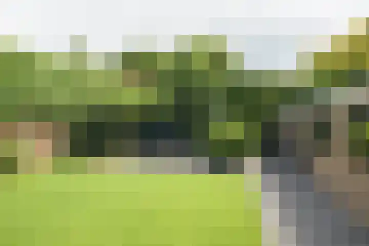 Alphenseweg 50 Gilze thumbnail 43