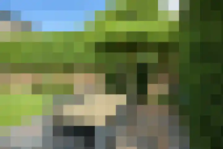 Alphenseweg 50 Gilze thumbnail 44