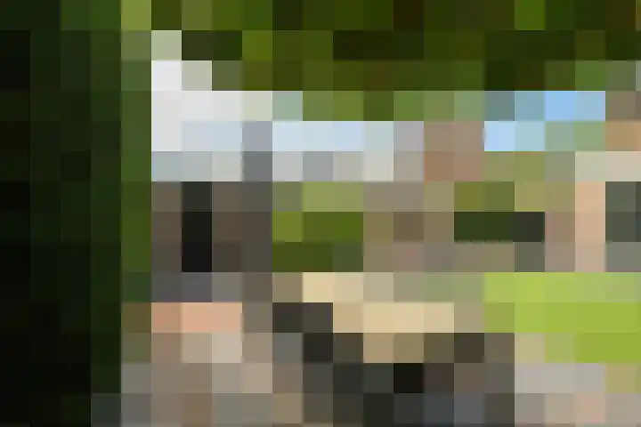 Alphenseweg 50 Gilze thumbnail 46