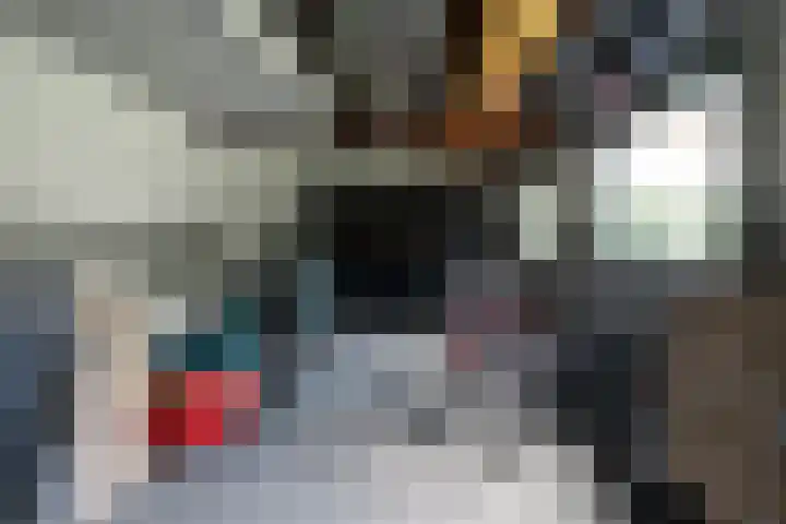 Alphenseweg 50 Gilze thumbnail 48