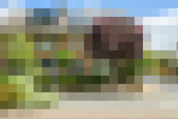 Alphenseweg 50 Gilze thumbnail 5