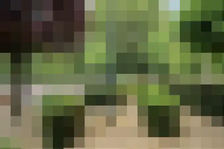 Alphenseweg 50 Gilze thumbnail 7
