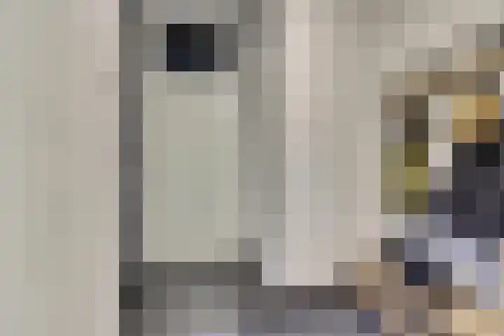 Alpherbrink 1 Waddinxveen thumbnail 17