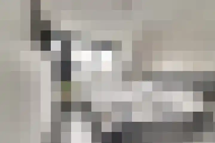 Alpherbrink 1 Waddinxveen thumbnail 19