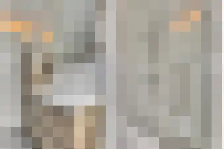 Alpherbrink 1 Waddinxveen thumbnail 25