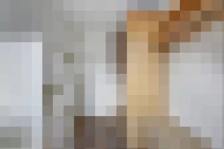 Alpherbrink 5 Waddinxveen thumbnail 23