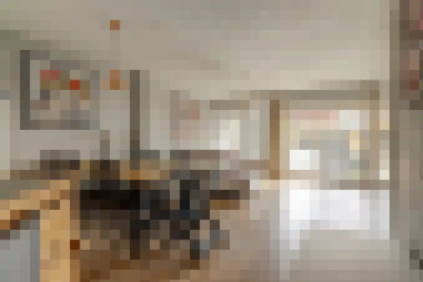 Alpherwetering 135 Waddinxveen thumbnail 15