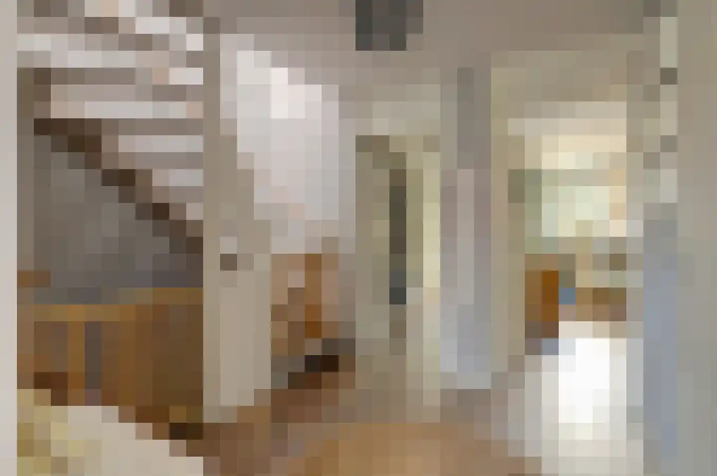 Alpherwetering 135 Waddinxveen thumbnail 19