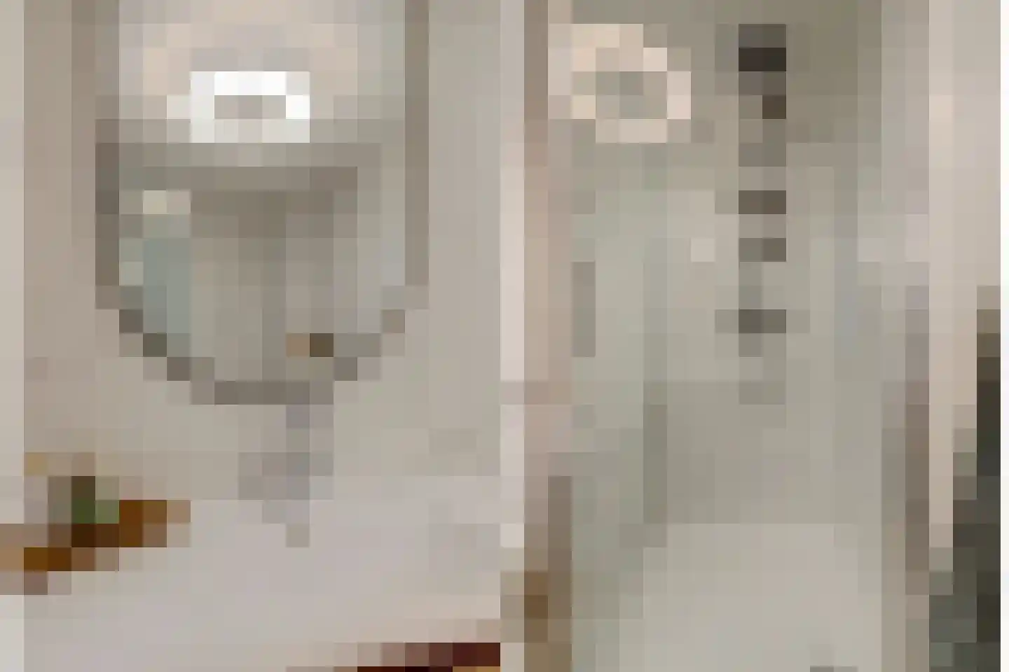 Alpherwetering 135 Waddinxveen thumbnail 25