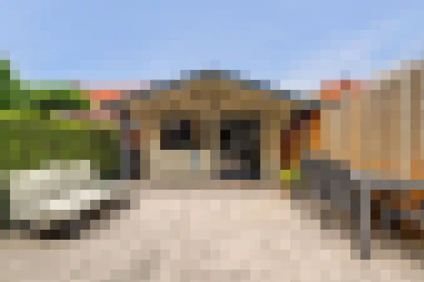 Alpherwetering 135 Waddinxveen thumbnail 35