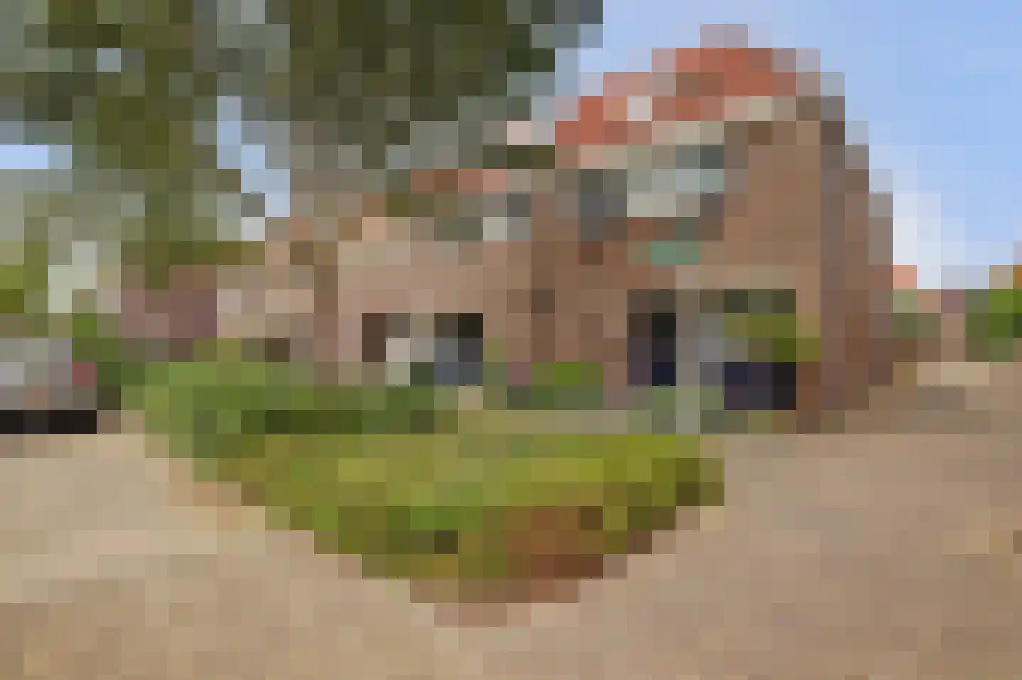 Alpherwetering 135 Waddinxveen thumbnail 5