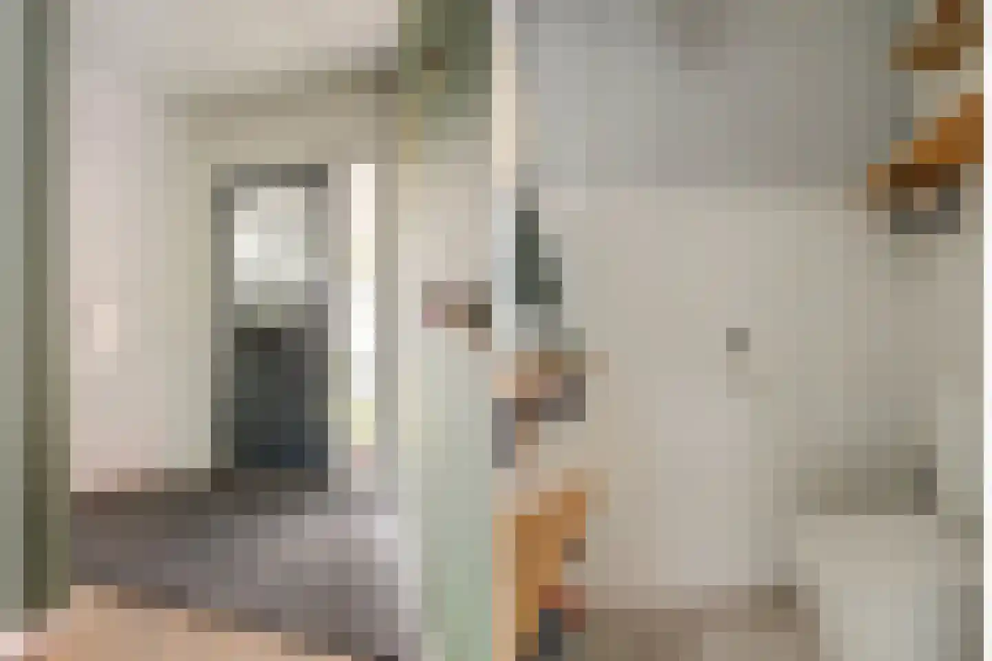 Alpherwetering 135 Waddinxveen thumbnail 7