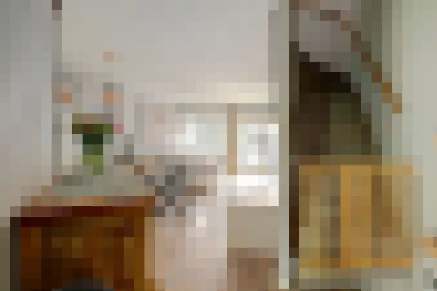 Alpherwetering 135 Waddinxveen thumbnail 9