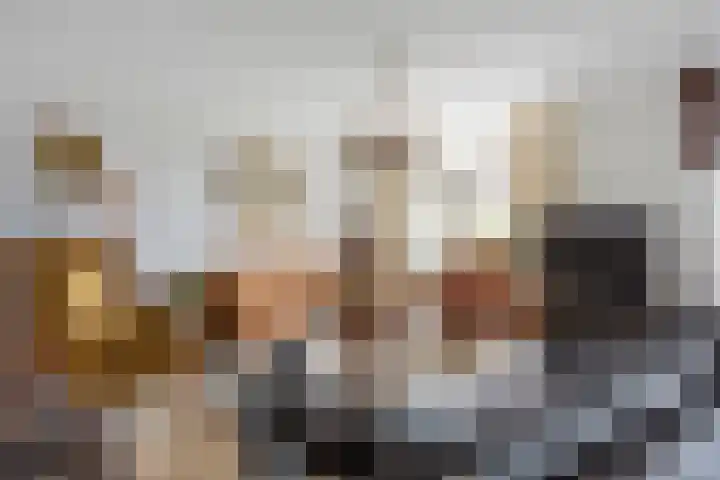 Alpherwetering 31 Waddinxveen thumbnail 10