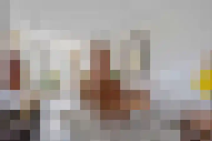 Alpherwetering 31 Waddinxveen thumbnail 11