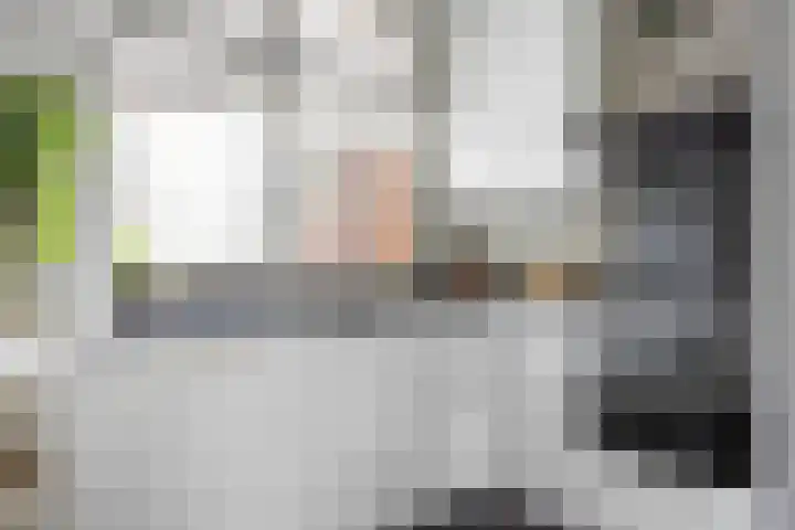 Alpherwetering 31 Waddinxveen thumbnail 13