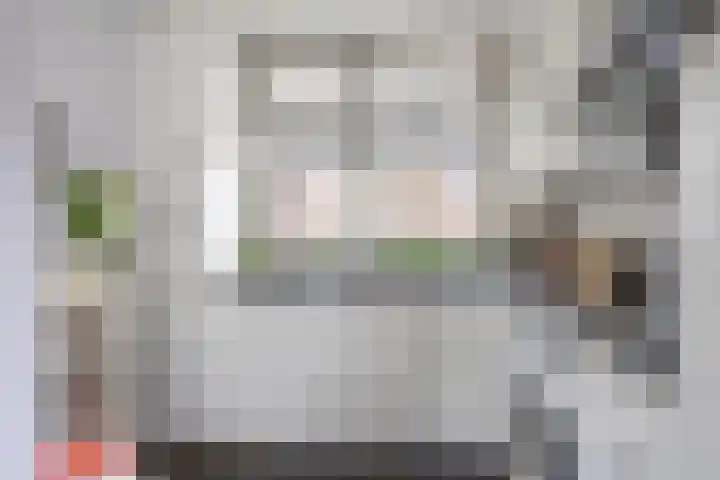 Alpherwetering 31 Waddinxveen thumbnail 14