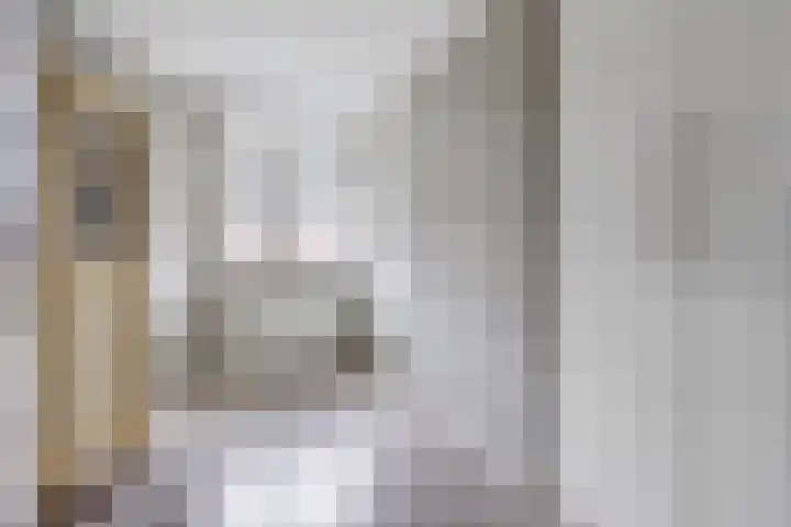 Alpherwetering 31 Waddinxveen thumbnail 17