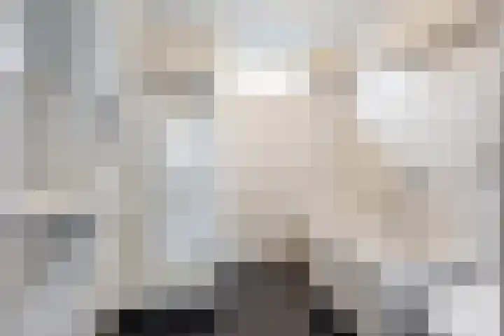Alpherwetering 31 Waddinxveen thumbnail 19