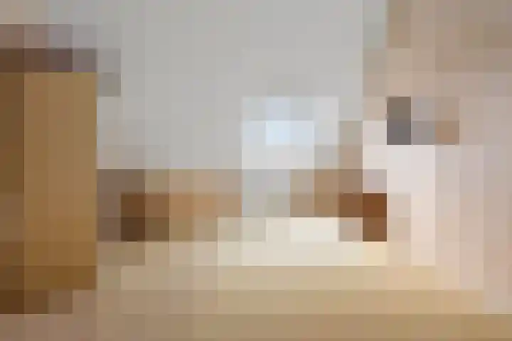 Alpherwetering 31 Waddinxveen thumbnail 22
