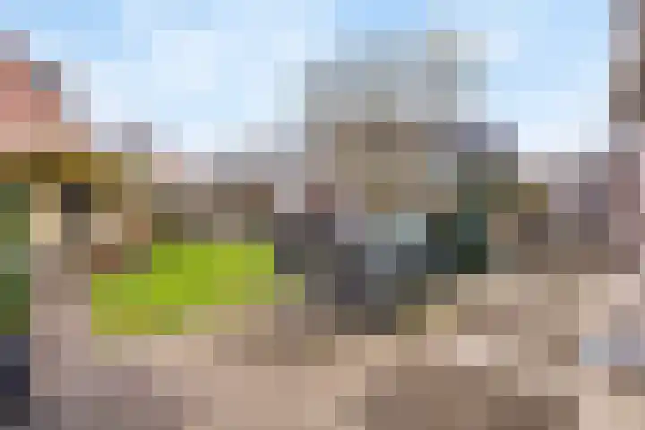 Alpherwetering 31 Waddinxveen thumbnail 23