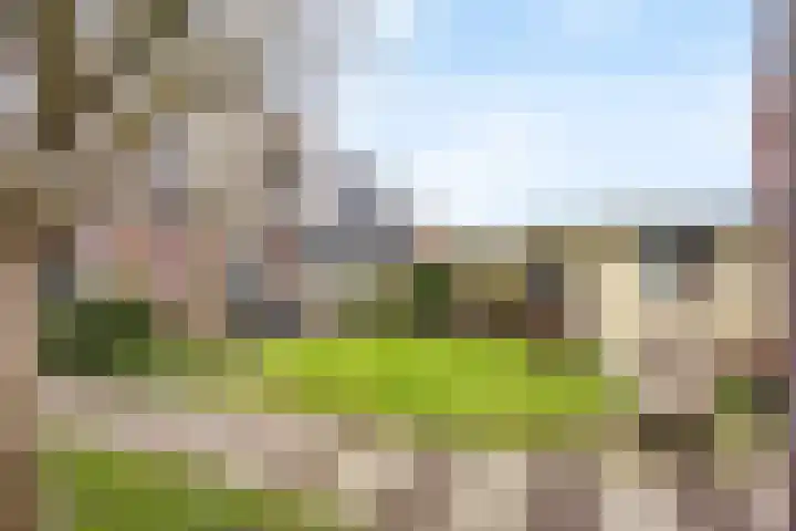 Alpherwetering 31 Waddinxveen thumbnail 24