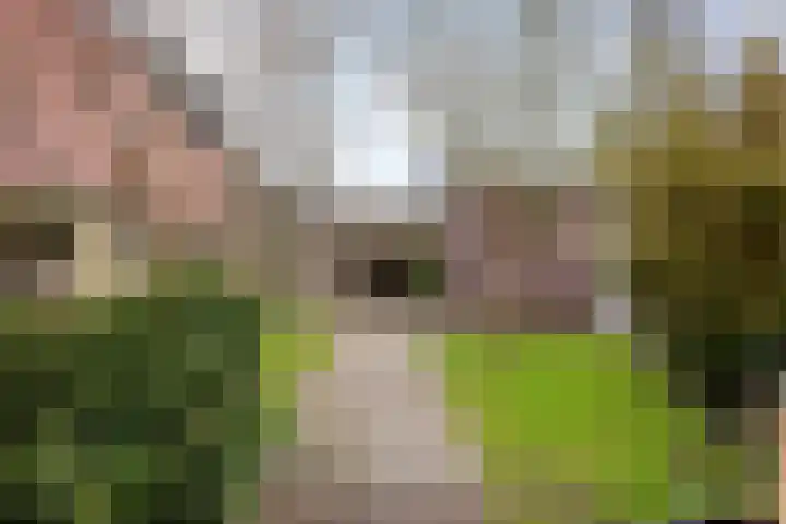Alpherwetering 31 Waddinxveen thumbnail 25