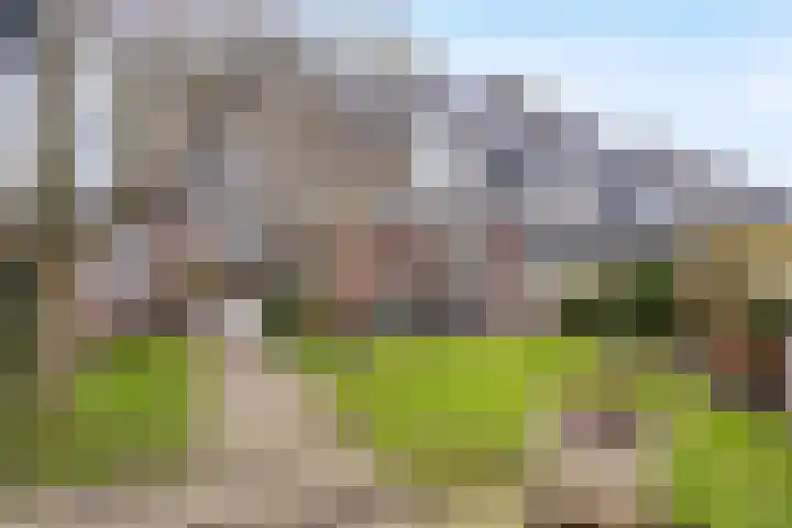 Alpherwetering 31 Waddinxveen thumbnail 4