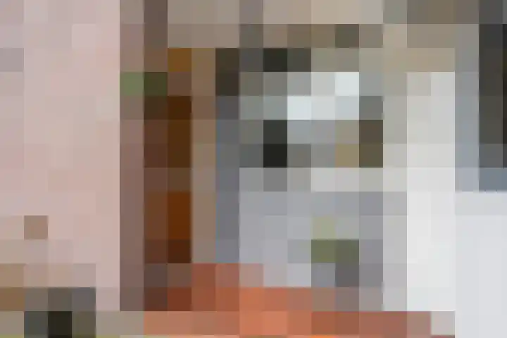 Alpherwetering 31 Waddinxveen thumbnail 6