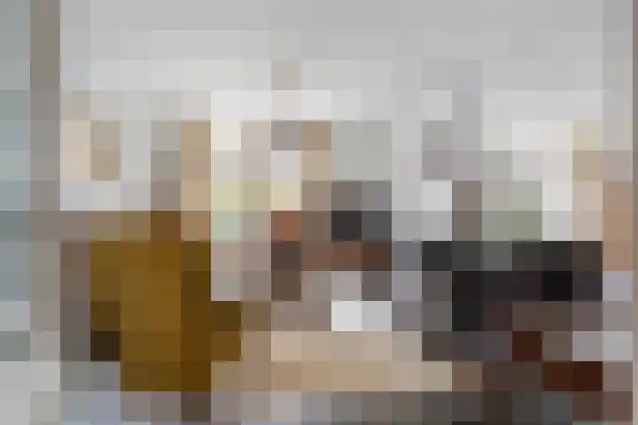 Alpherwetering 31 Waddinxveen thumbnail 9