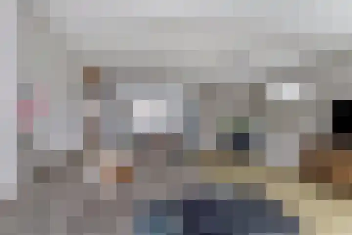Alpherwetering 55 Waddinxveen thumbnail 12