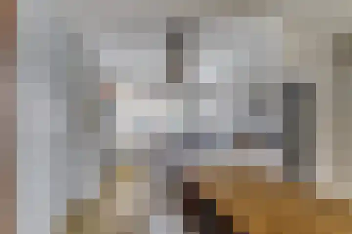Alpherwetering 55 Waddinxveen thumbnail 13