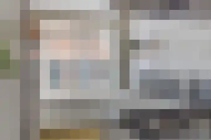 Alpherwetering 55 Waddinxveen thumbnail 14