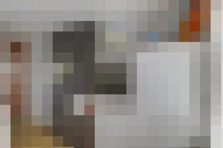 Alpherwetering 55 Waddinxveen thumbnail 15