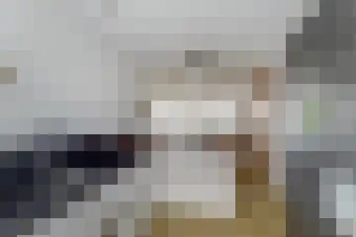 Alpherwetering 55 Waddinxveen thumbnail 16