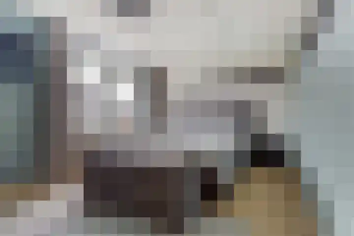 Alpherwetering 55 Waddinxveen thumbnail 20