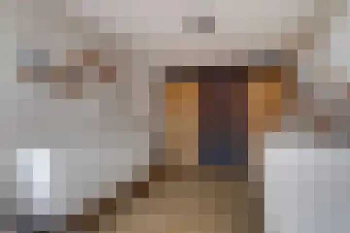 Alpherwetering 55 Waddinxveen thumbnail 23