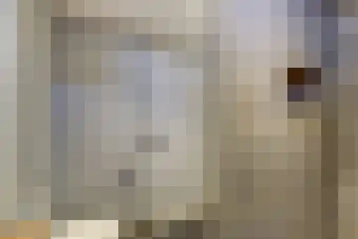 Alpherwetering 55 Waddinxveen thumbnail 25