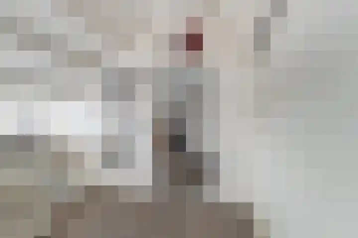 Alpherwetering 55 Waddinxveen thumbnail 27