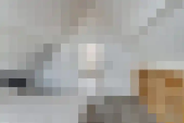 Alpherwetering 55 Waddinxveen thumbnail 29