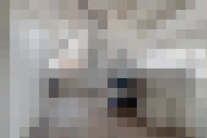 Alpherwetering 55 Waddinxveen thumbnail 30