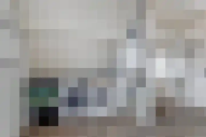 Alpherwetering 55 Waddinxveen thumbnail 31