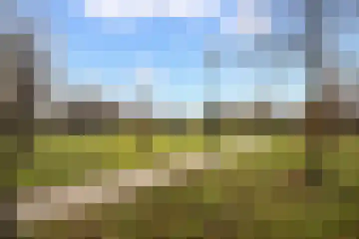 Alpherwetering 55 Waddinxveen thumbnail 36