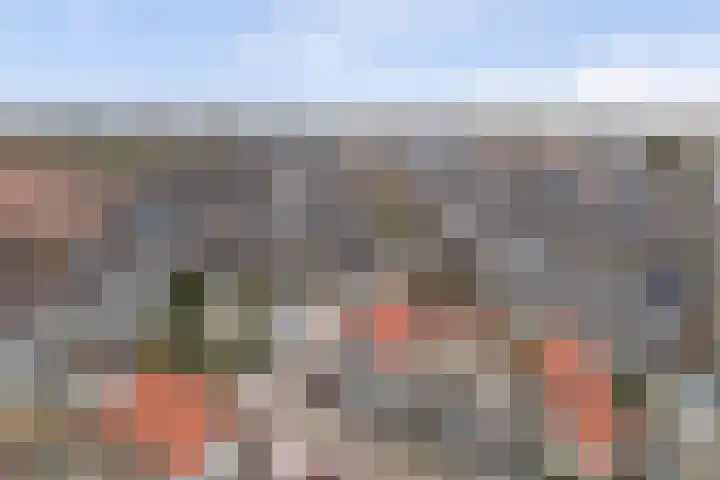 Alpherwetering 55 Waddinxveen thumbnail 42