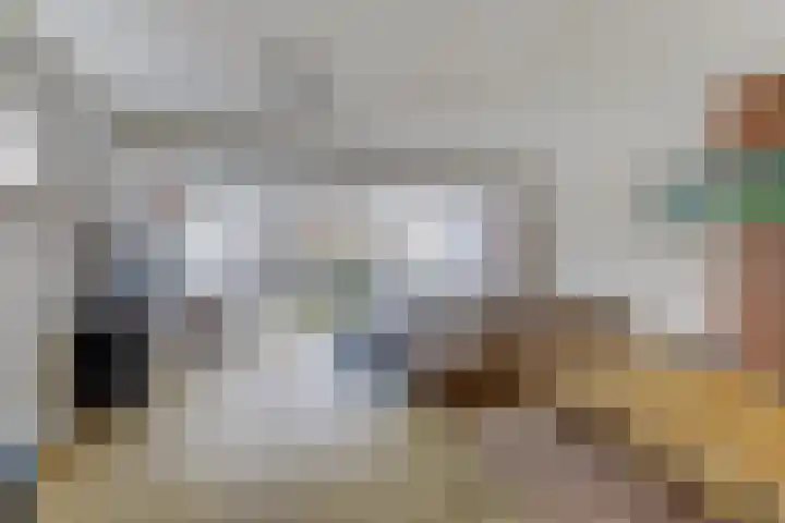 Alpherwetering 55 Waddinxveen thumbnail 7